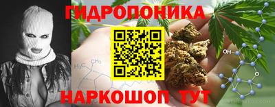 spice Бузулук