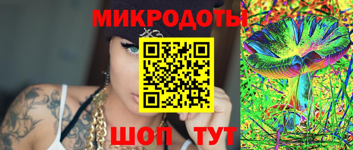 Псилоцибиновые грибы Psilocybe Мелеуз