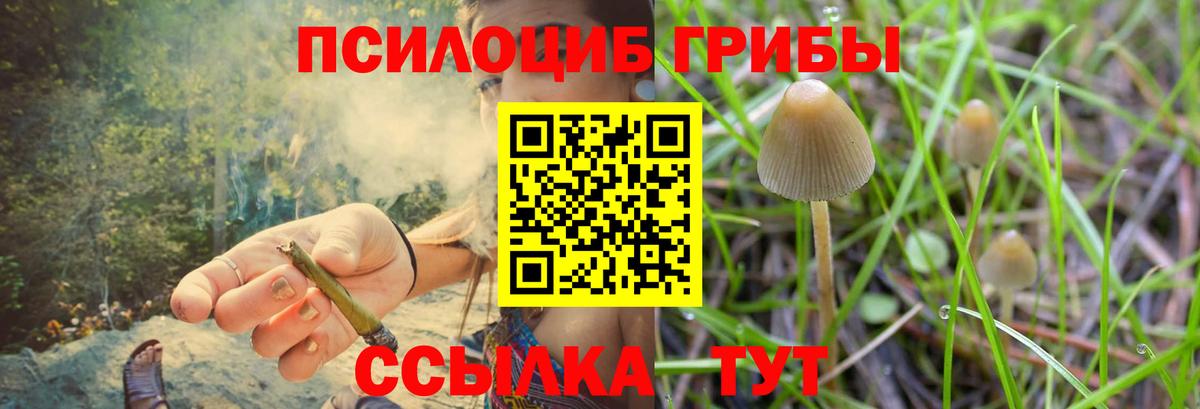 Псилоцибиновые грибы MAGIC MUSHROOMS  Галлюциногенные грибы MAGIC MUSHROOMS  Вход с VPN  Мелеуз 